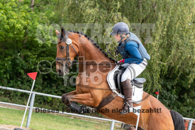 Late-Entry-Vielseitigkeit Langenfeld (11.+13./14.06.2020)