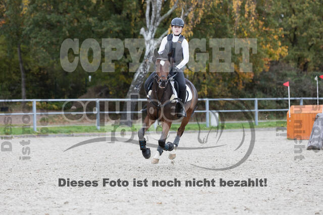 IGV Lehrgang der Sieger der Cups mit Frank Ostholt
