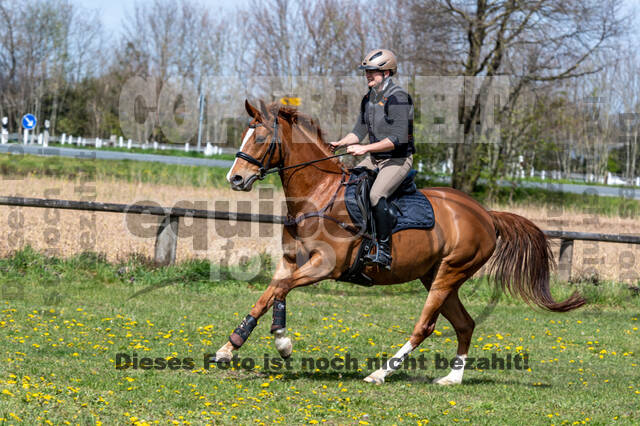 Geländetraining ZRFV Hamminkeln (24+25.04.2021)