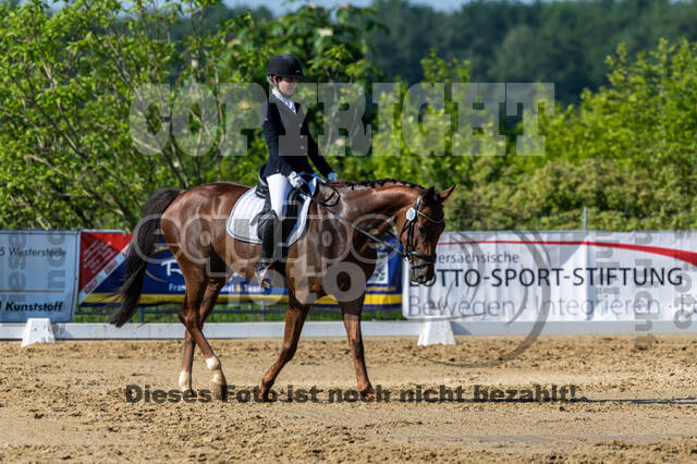 Westerstede Horse Trials 2021