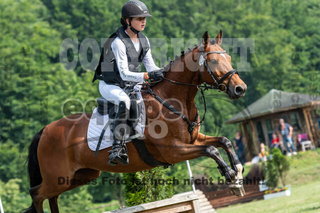 Goldene Schärpe 2021 - Ponys