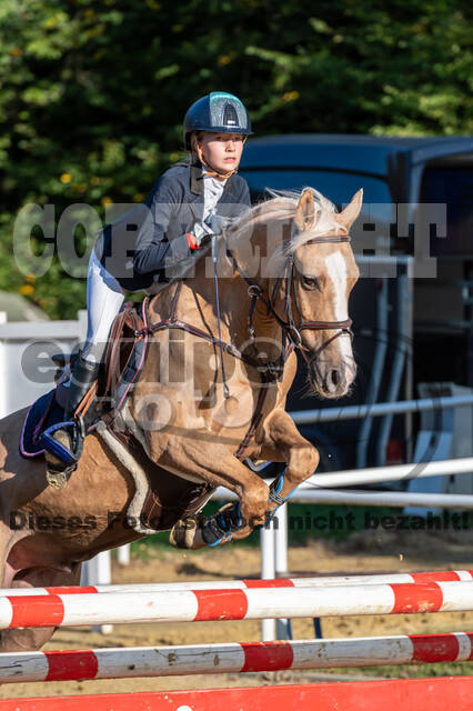 RFV Dinslaken-Hiesfeld (Herbstturnier)