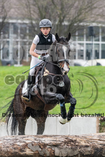 Goldene Schärpe 2020 - Pferde