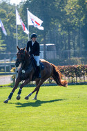 De Peelbergen (August 2020)