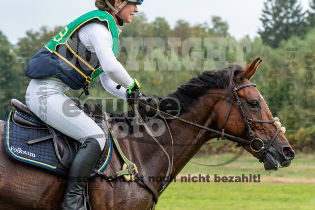 Deutsche Meisterschaft Vielseitigkeit (Luhmühlen)