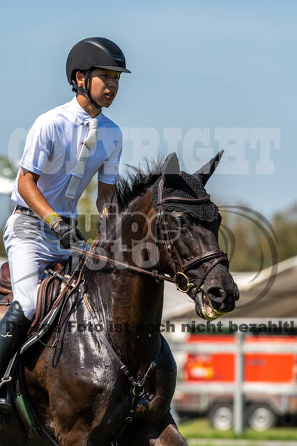 Kronenberg - De Peelbergen (August 2020)