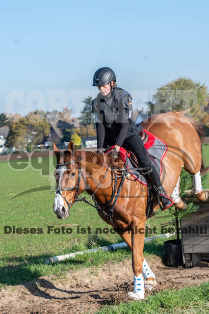 Vielseitigkeitslehrgang mit Jürg Kurbel (9.+10.11.2019)