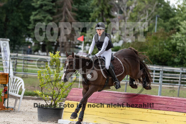 Late-Entry-Vielseitigkeit Langenfeld (06.+07.07.2020)