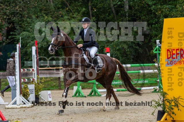 Vielseitigkeit RSV Wesel Obrighoven (26.+27.09.2020)