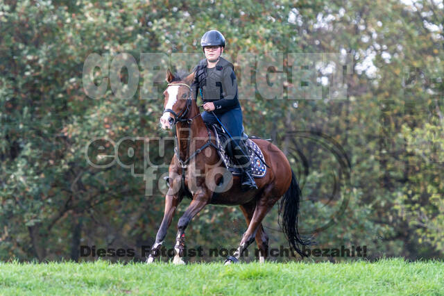 IGV Lehrgang der Sieger der Cups mit Frank Ostholt