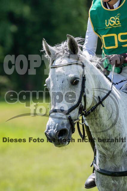 Westerstede Horse Trials 2021