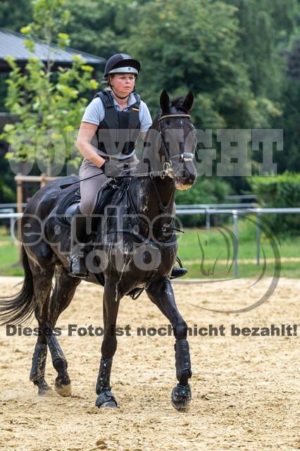 Hunter Geländetraining 10.07.2021 (Sonsbeck)