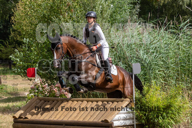 Late-Entry Vielseitigkeit Hamminkeln/Wesel (01.+02.08.2020)