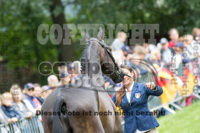 FEI European Championship