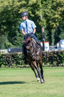 Kronenberg - De Peelbergen (August 2020)