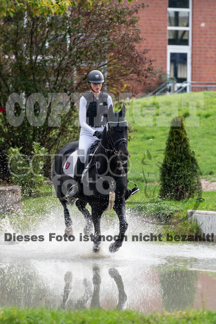 Goldene Schärpe 2020 - Pferde