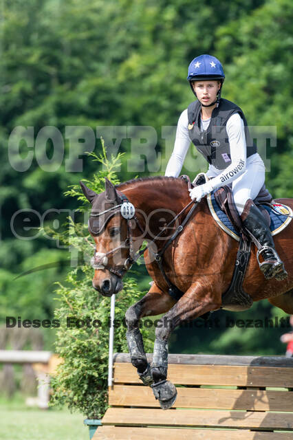 Goldene Schärpe 2021 - Ponys