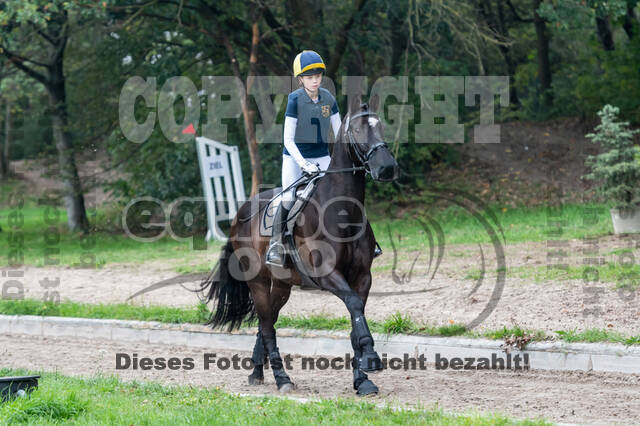 Goldene Schärpe 2020 - Pferde