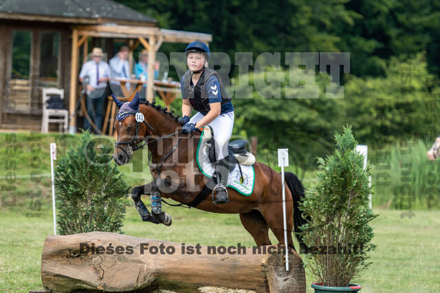 Goldene Schärpe 2021 - Ponys