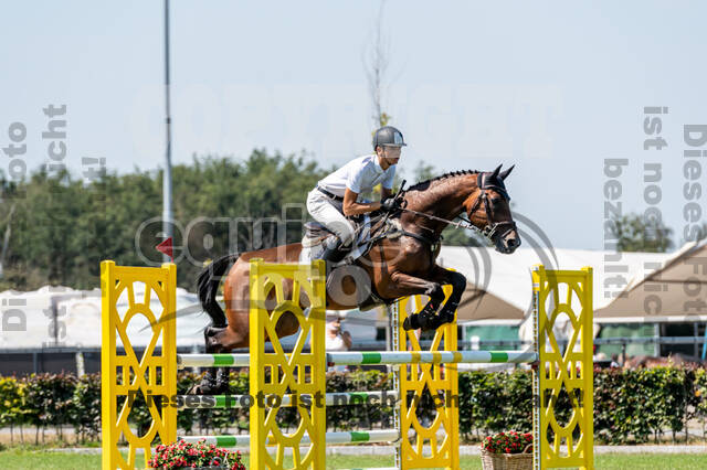 Kronenberg - De Peelbergen (August 2020)