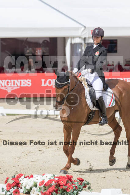 FEI European Championship Eventing 2017