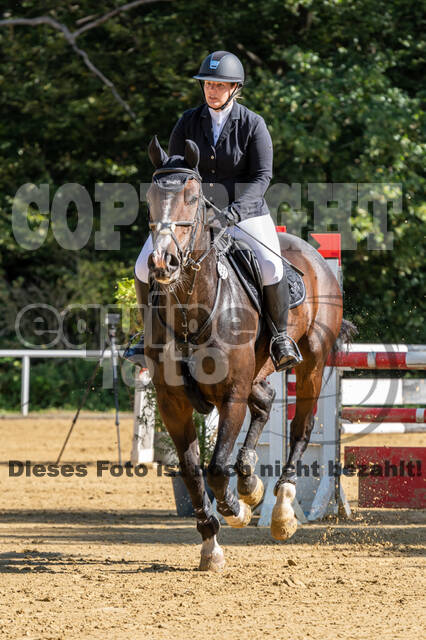 RFV Dinslaken-Hiesfeld (Herbstturnier)