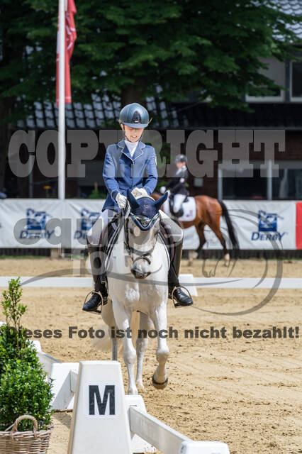 Goldene Schärpe 2021 - Ponys