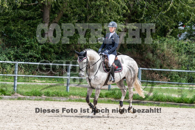 Late-Entry-Vielseitigkeit Langenfeld (06.+07.07.2020)