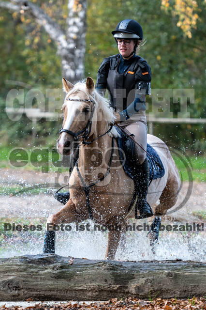 IGV Lehrgang der Sieger der Cups mit Frank Ostholt