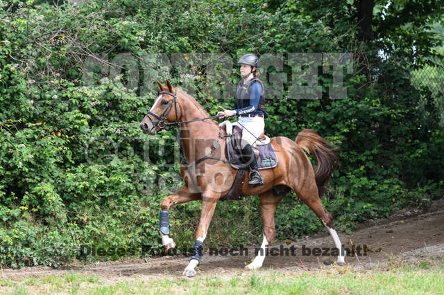 Late-Entry-Vielseitigkeit Langenfeld (11.+13./14.06.2020)