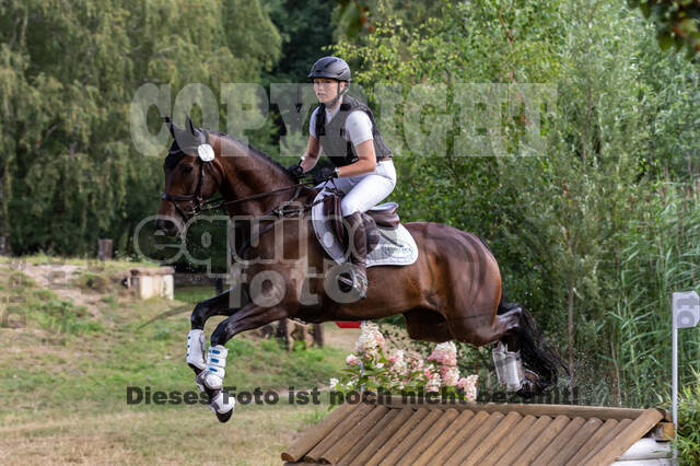 Late-Entry Vielseitigkeit Hamminkeln/Wesel (01.+02.08.2020)