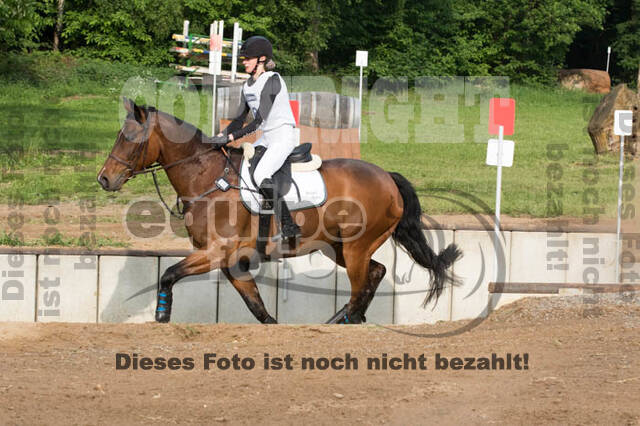 Vielseitigkeitsturnier ZRFV von Lützow Hamminkeln