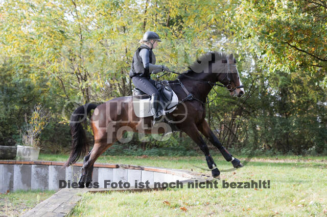 IGV Lehrgang der Sieger der Cups mit Frank Ostholt