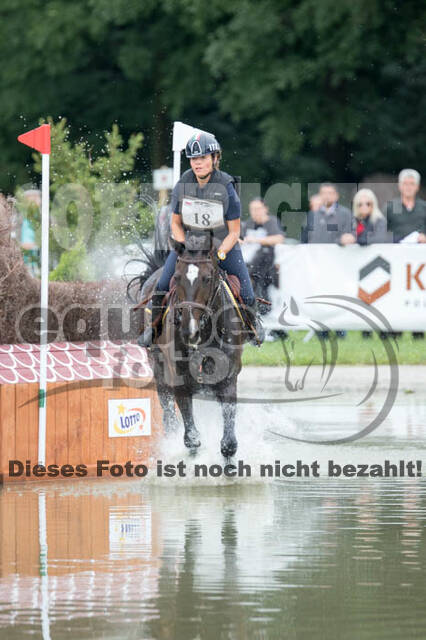 FEI European Championship