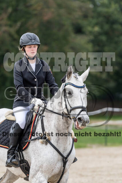 Goldene Schärpe 2020 - Pferde