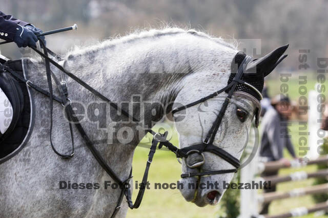 Frühjahrsvielseitigkeit RV Seydlitz Kamp
