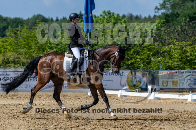Westerstede Horse Trials 2021