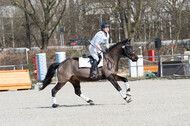 Eventing Langenfeld 2018