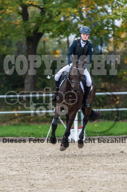 Reiter Schleswig-Holstein