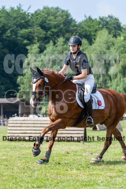 Goldene Schärpe 2021 - Ponys