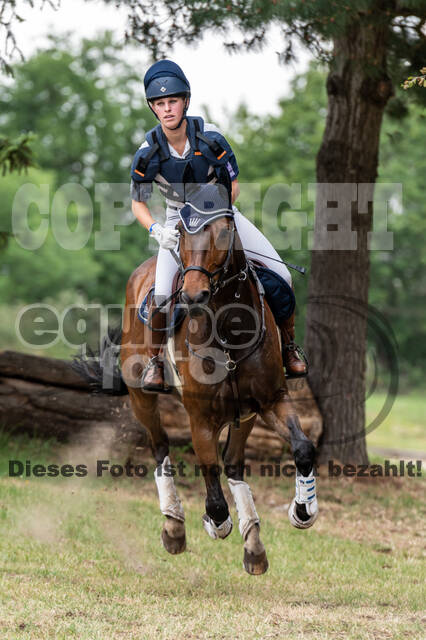 Late-Entry-Vielseitigkeit Langenfeld (11.+13./14.06.2020)