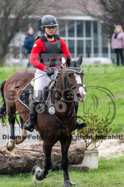 Goldene Schärpe 2020 - Pferde
