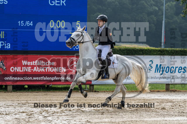 Goldene Schärpe 2021 - Ponys
