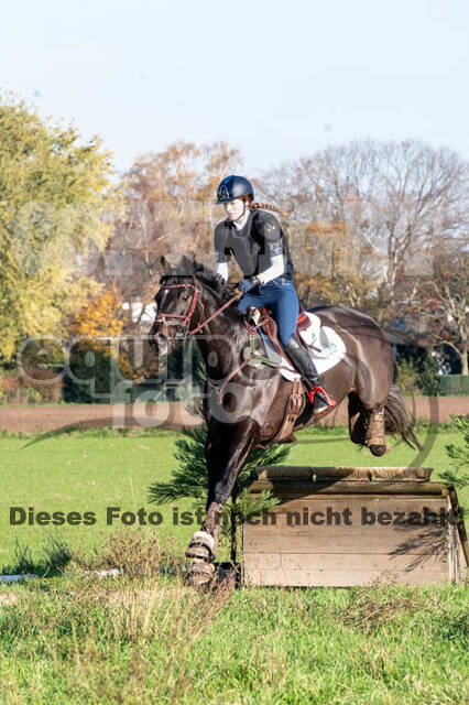 Vielseitigkeitslehrgang mit Jürg Kurbel (9.+10.11.2019)