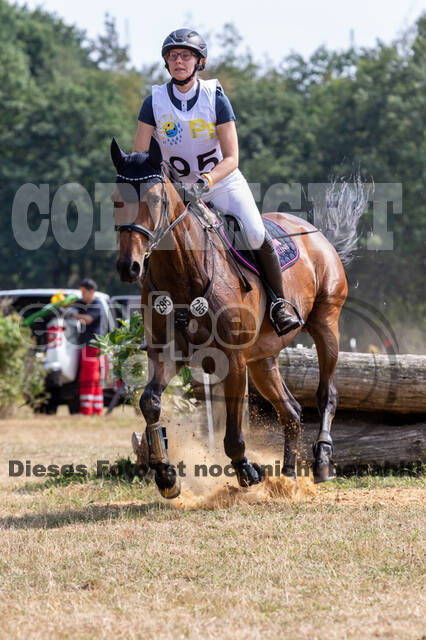 Late-Entry Vielseitigkeit Hamminkeln/Wesel (01.+02.08.2020)