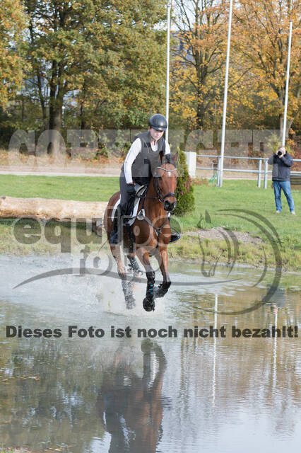 IGV Lehrgang der Sieger der Cups mit Frank Ostholt
