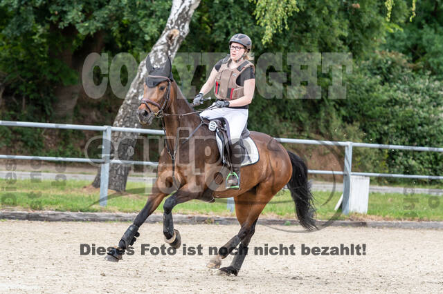Late-Entry-Vielseitigkeit Langenfeld (11.+13./14.06.2020)