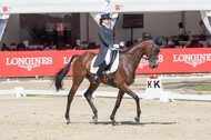 FEI European Championship Eventing 2017