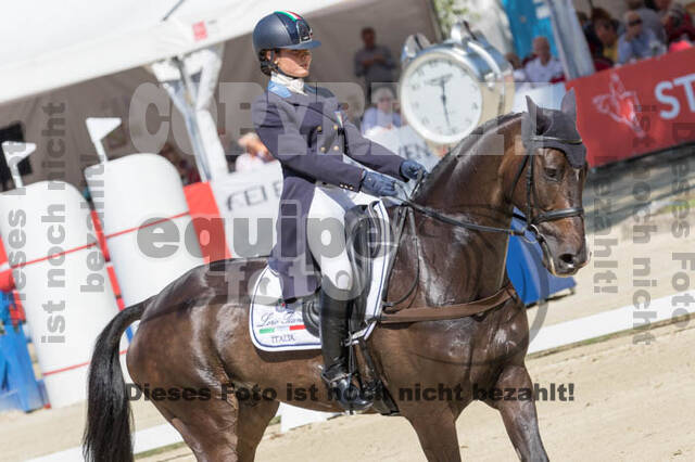 FEI European Championship