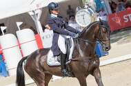 FEI European Championship
